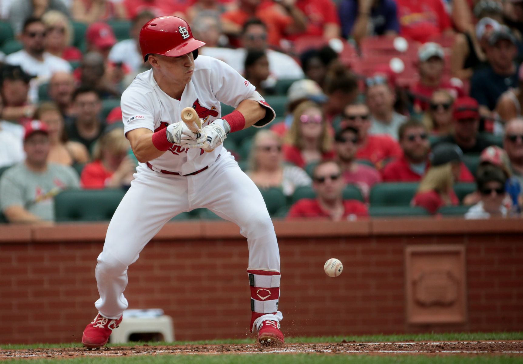 St. Louis Cardinals V Pittsburgh Pirates